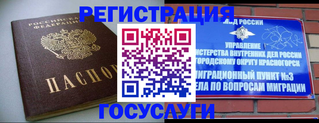 временная прописка в Элисте